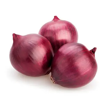onion (6)-9658067-58781.webp